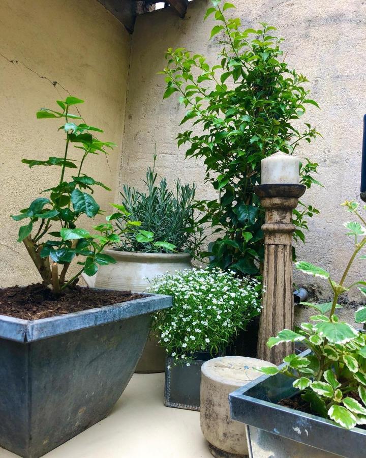 ディジョンLe Jardin Wilsonアパートメント エクステリア 写真