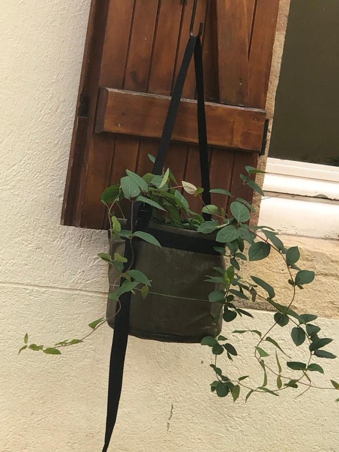 ディジョンLe Jardin Wilsonアパートメント エクステリア 写真