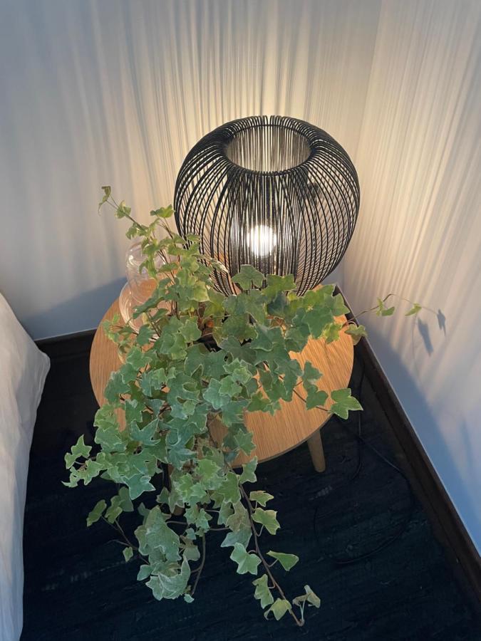 ディジョンLe Jardin Wilsonアパートメント エクステリア 写真